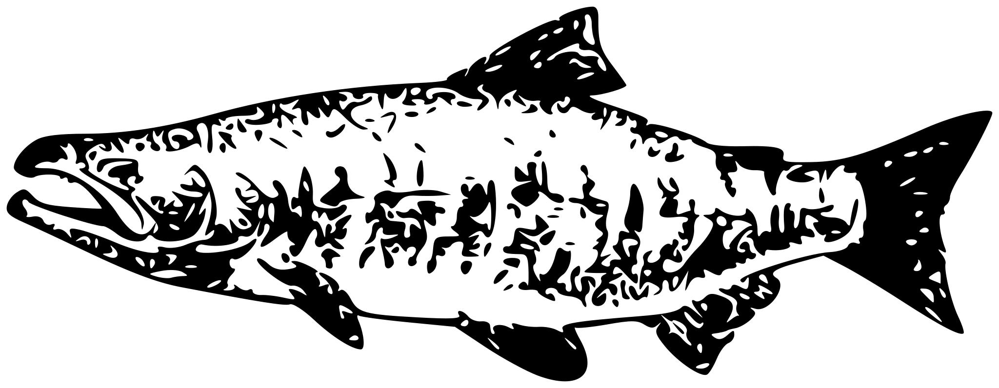 Рыба вектор лосось