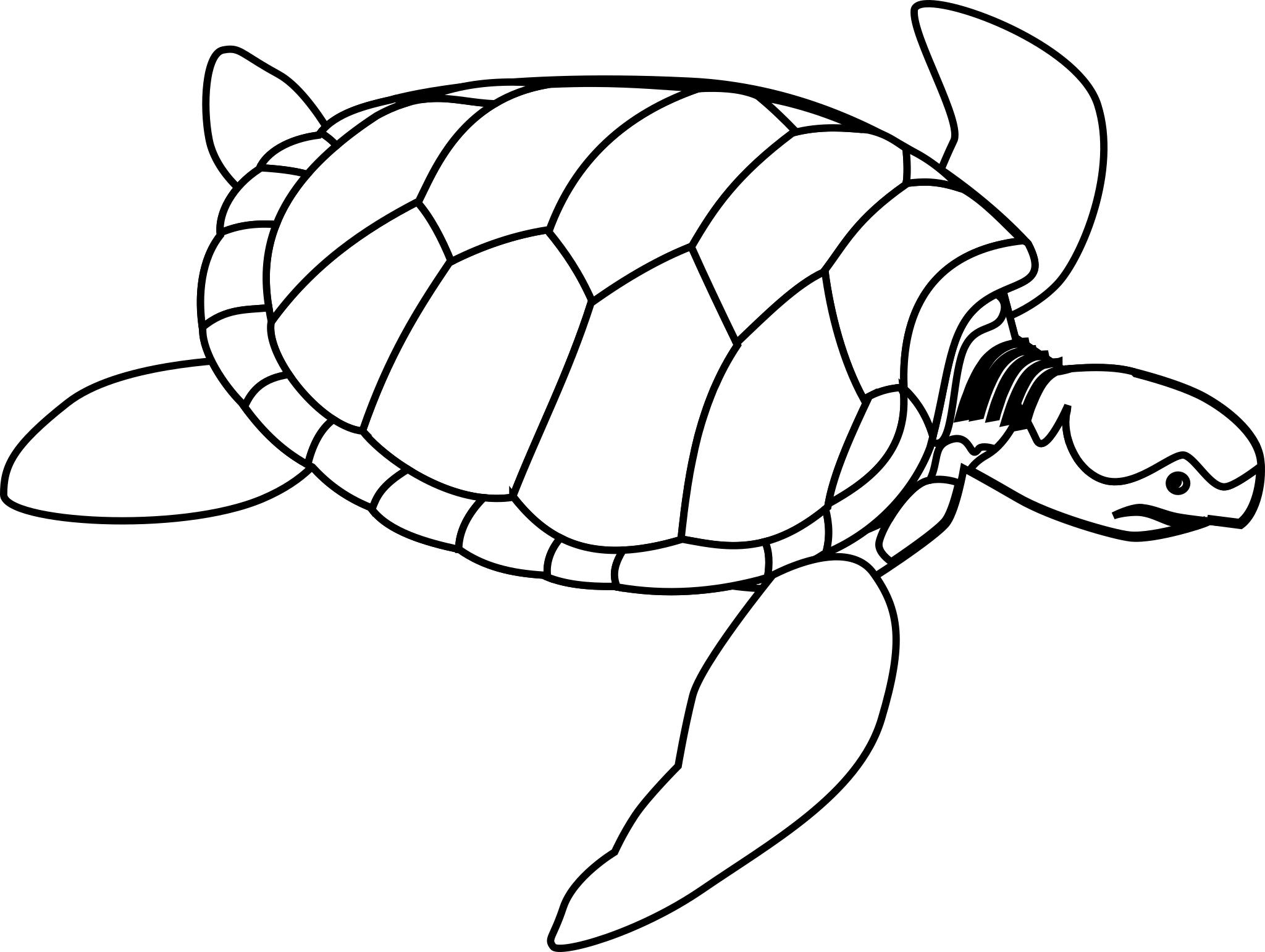 Морская черепаха контур