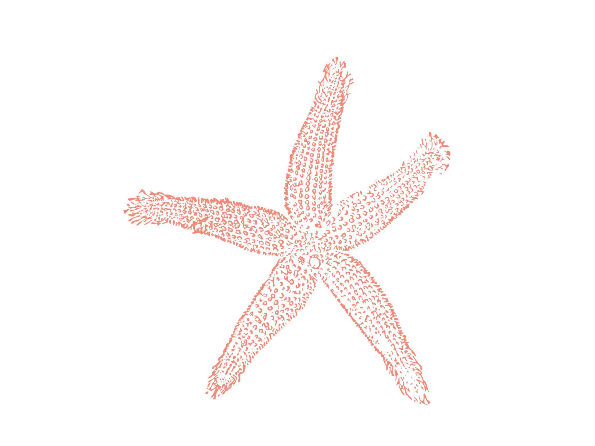 Морская звезда анимация на прозрачном фоне