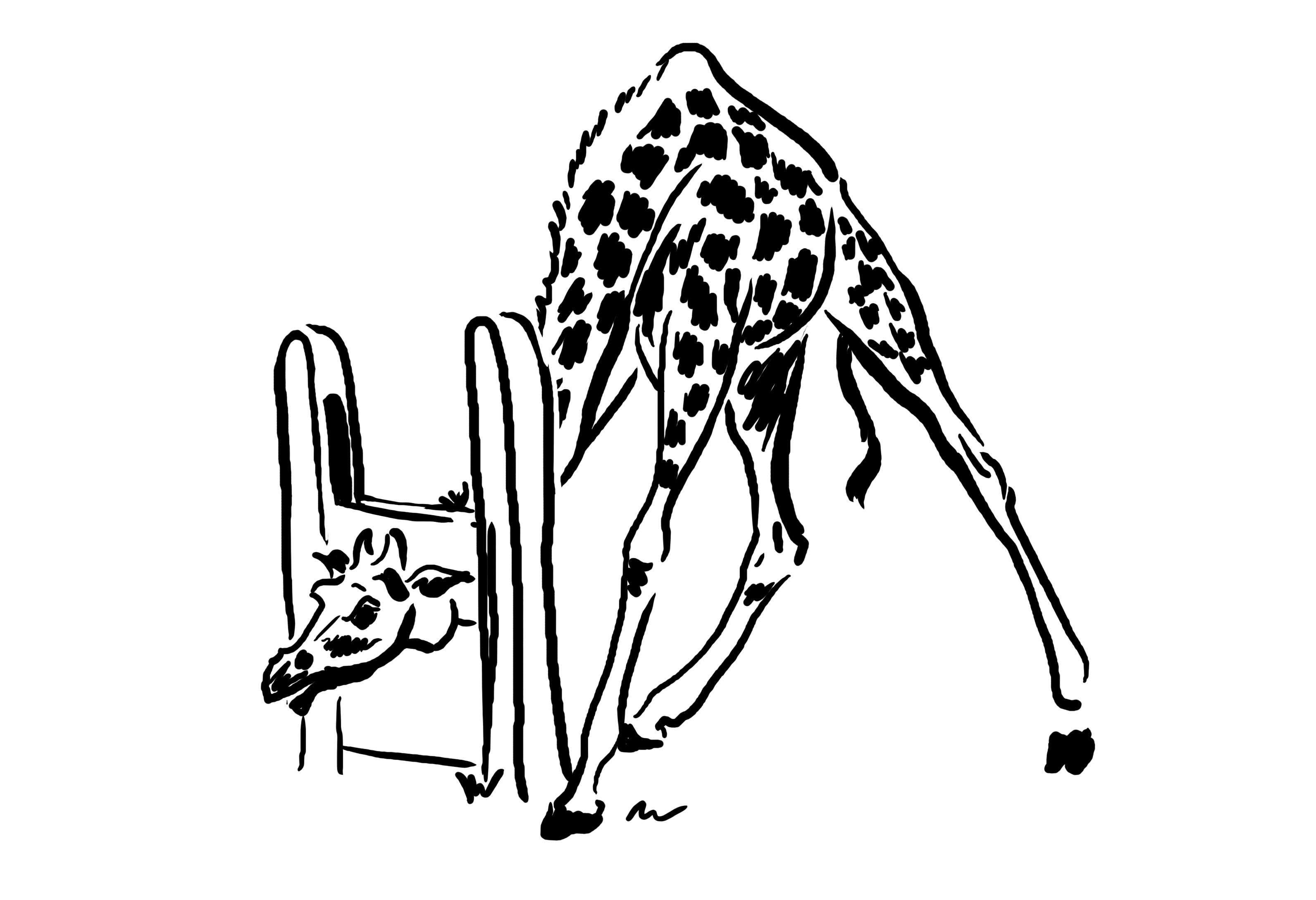 Жираф трафарет