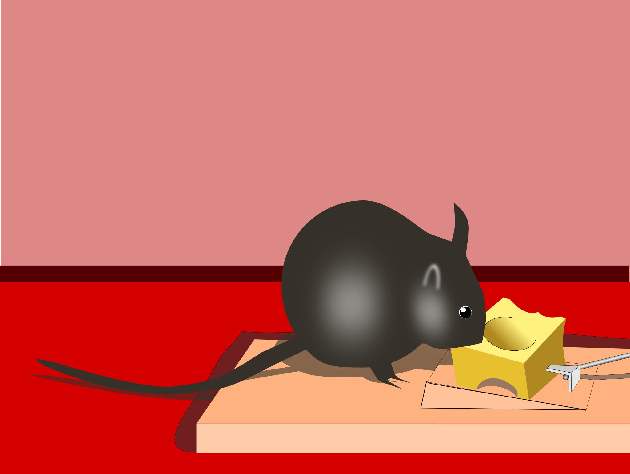 Мышь и бесплатный сыр