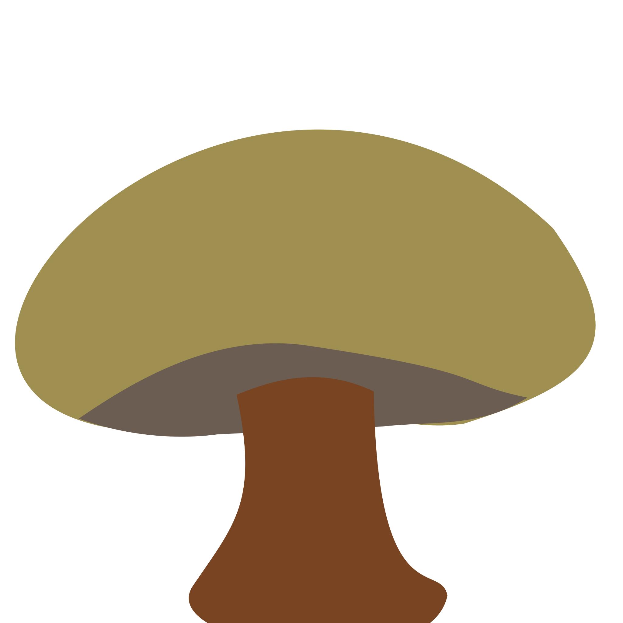 Шляпа грибок