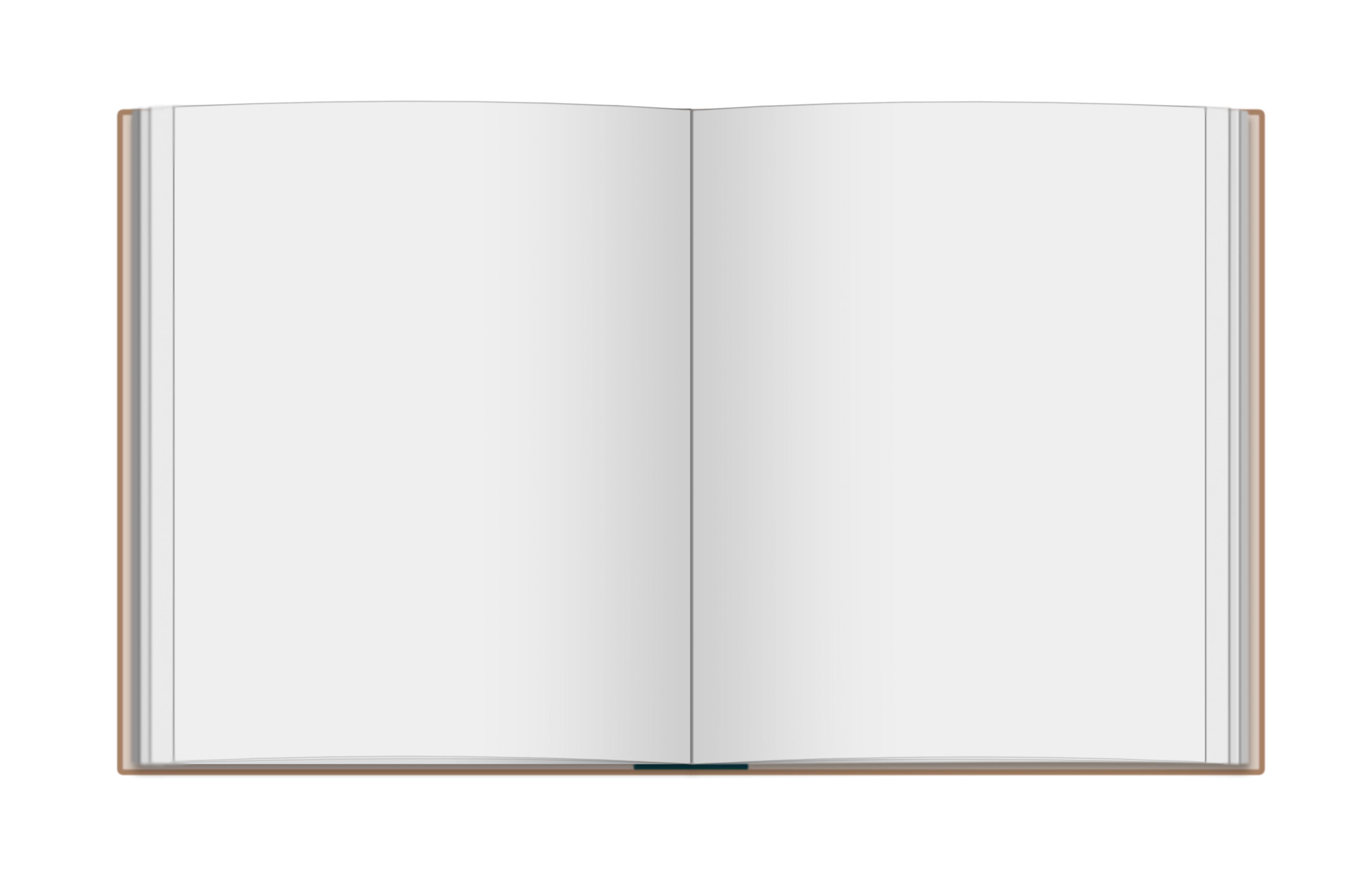 Книжка с пустыми страницами