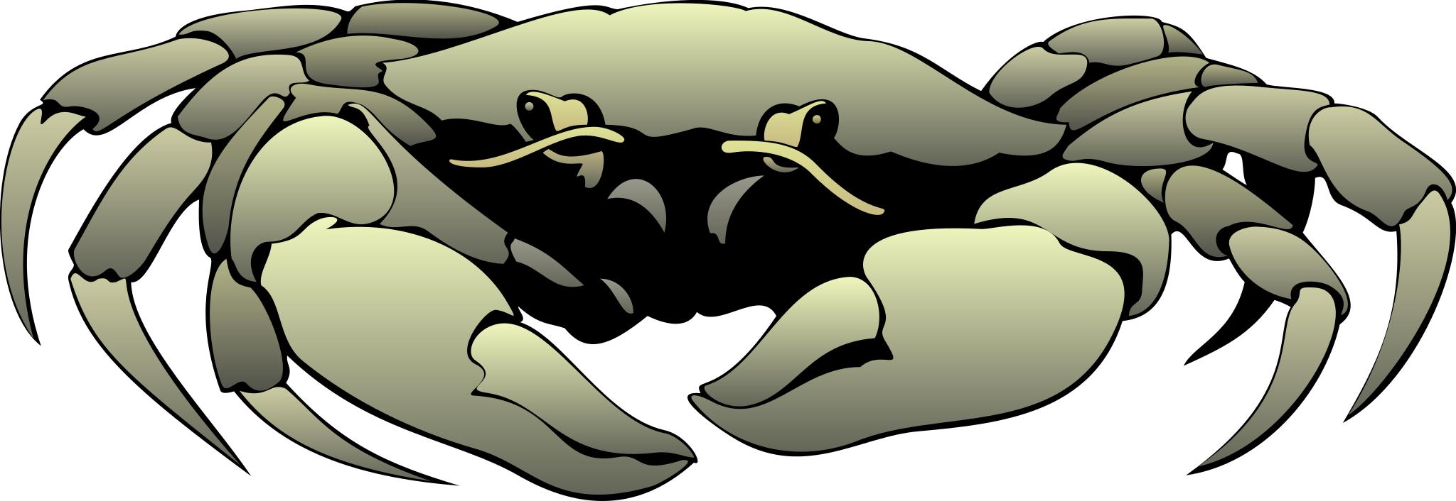 Realistic crab clipart