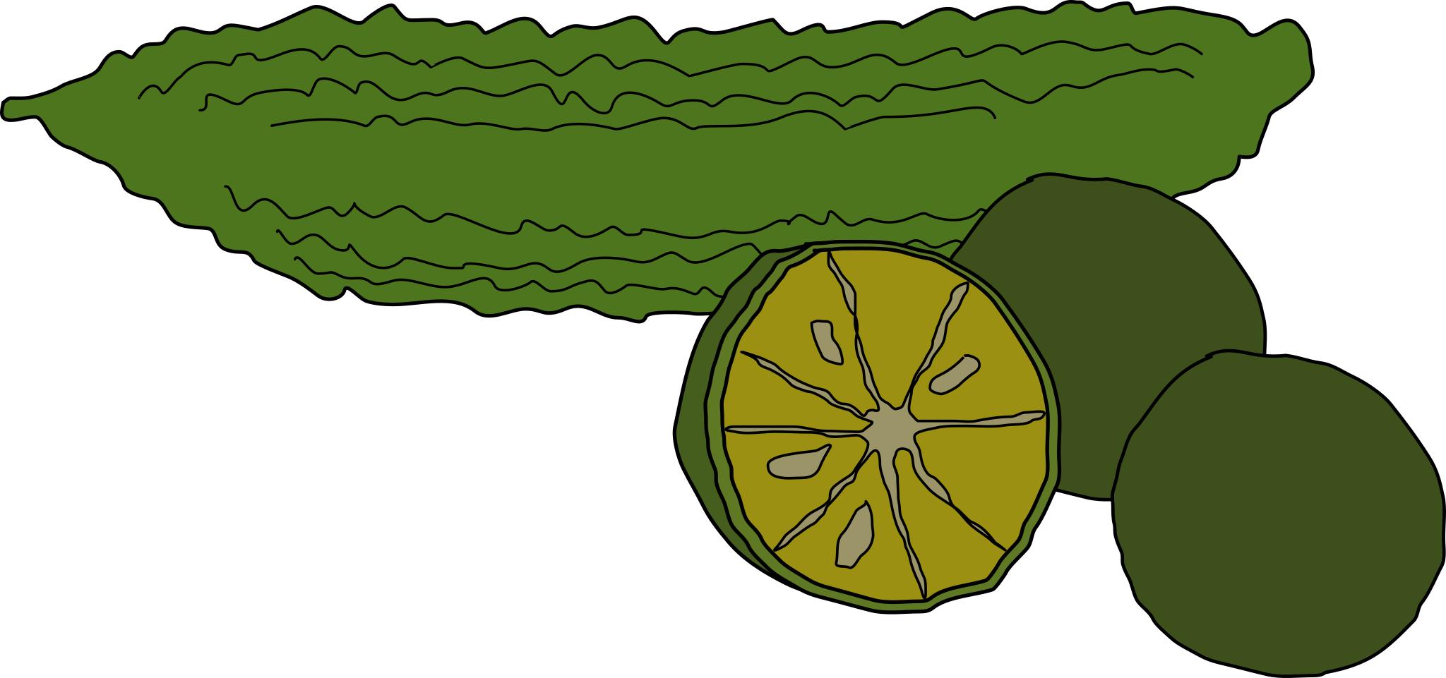 Bitter Melon рисунок для детей