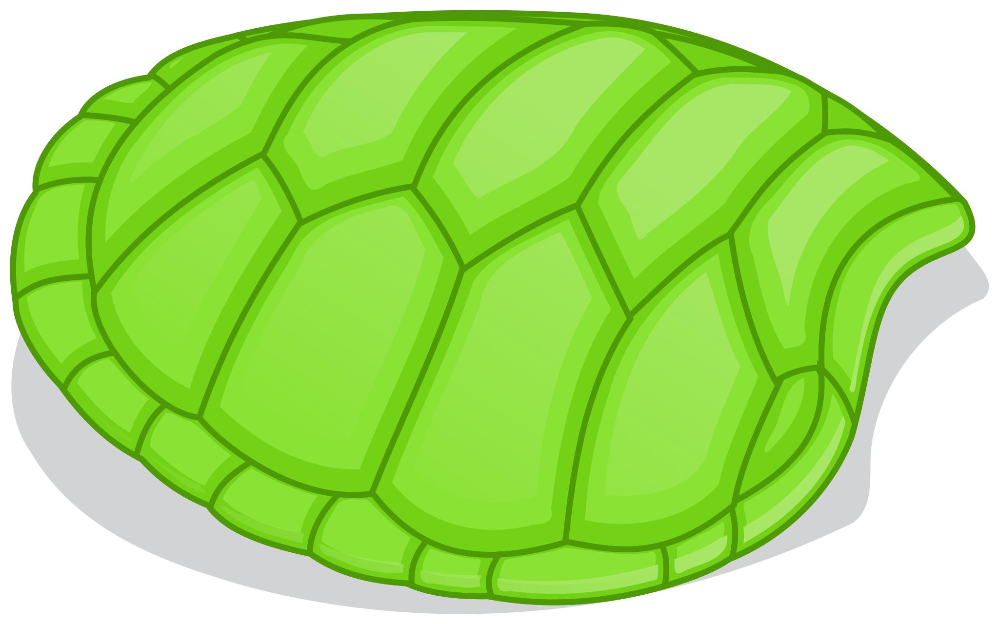 Free Images - turtle shell svg.