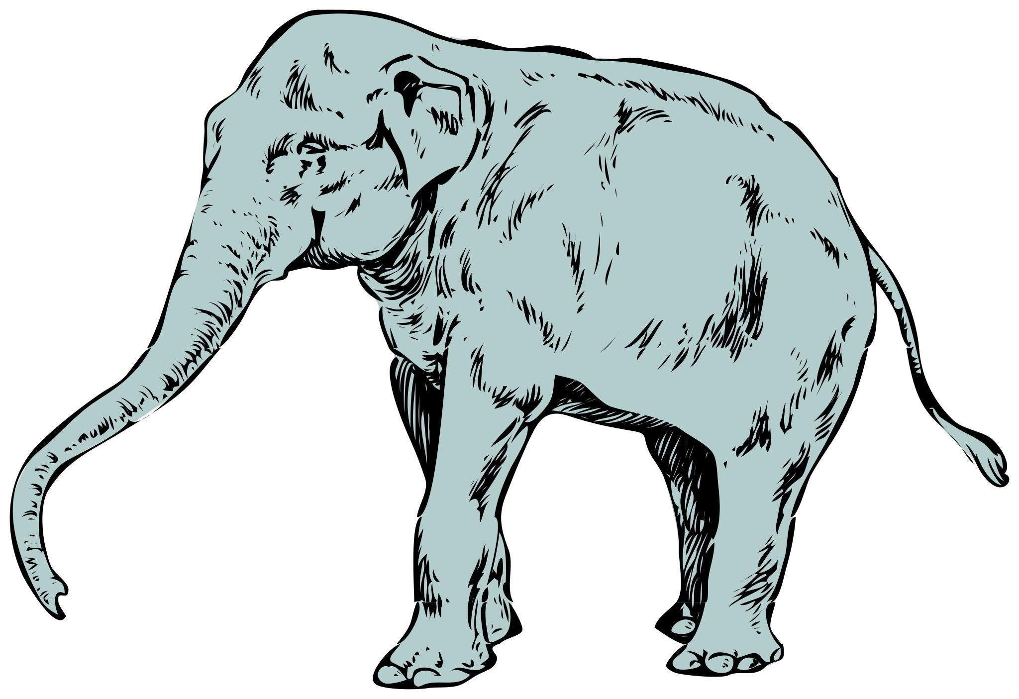 Хобот слона рисунок
