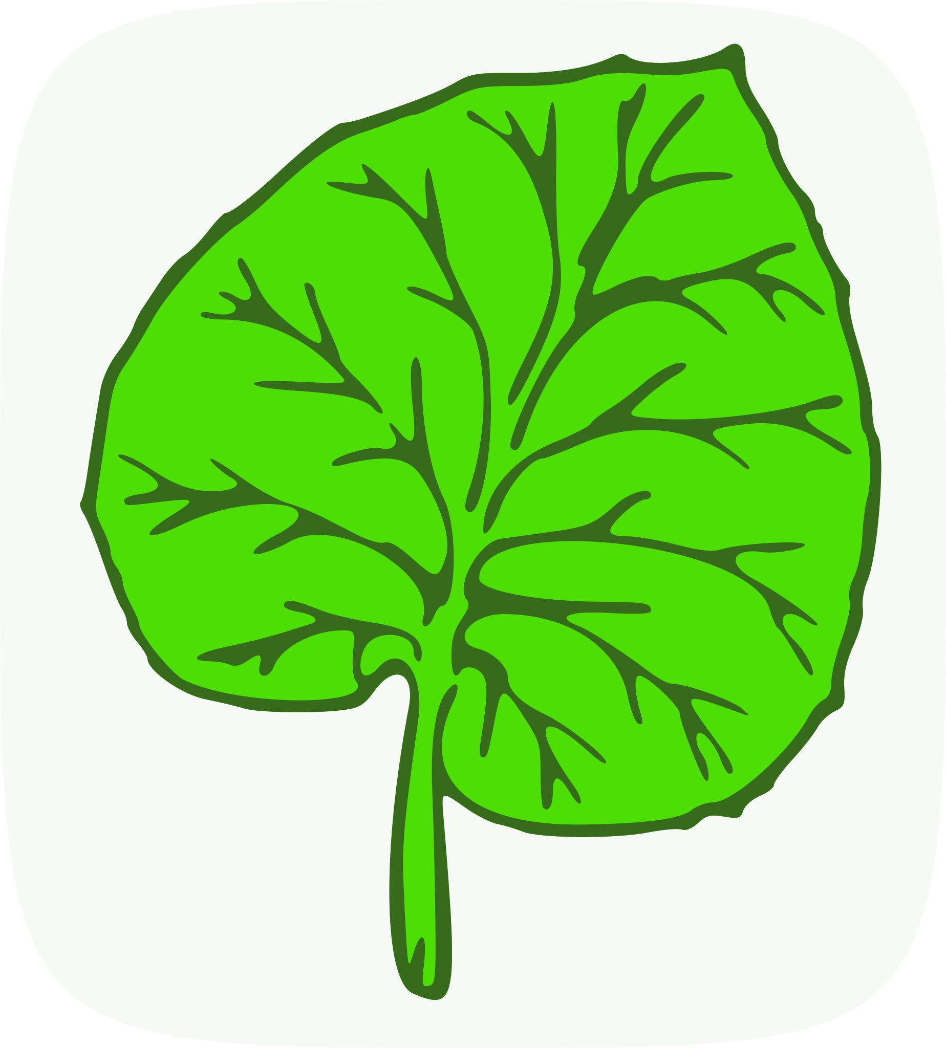 Зеленые листья нарисованные