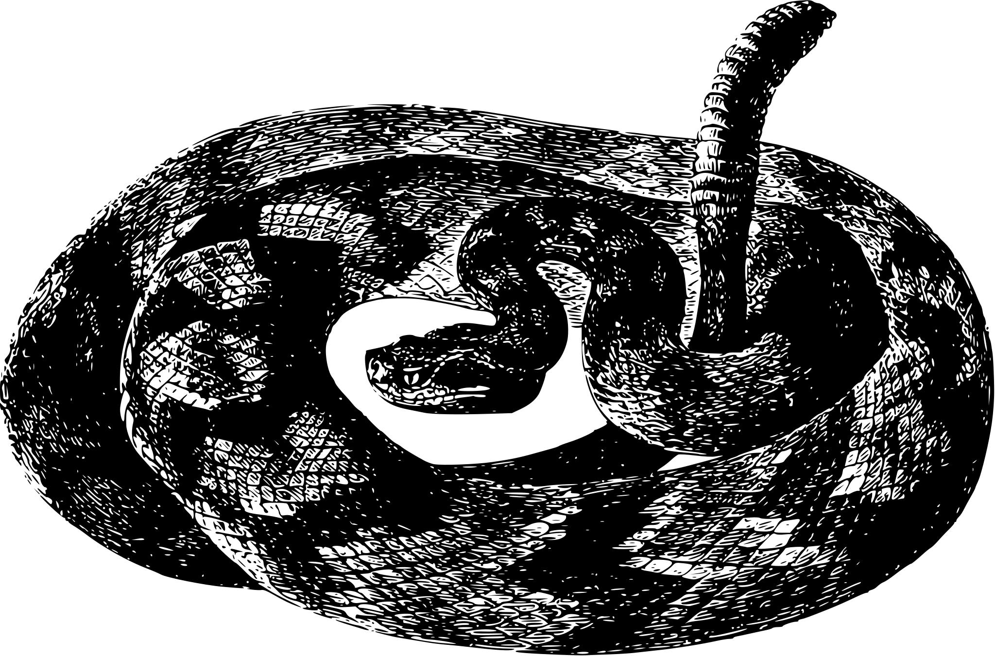 Змея СВГ