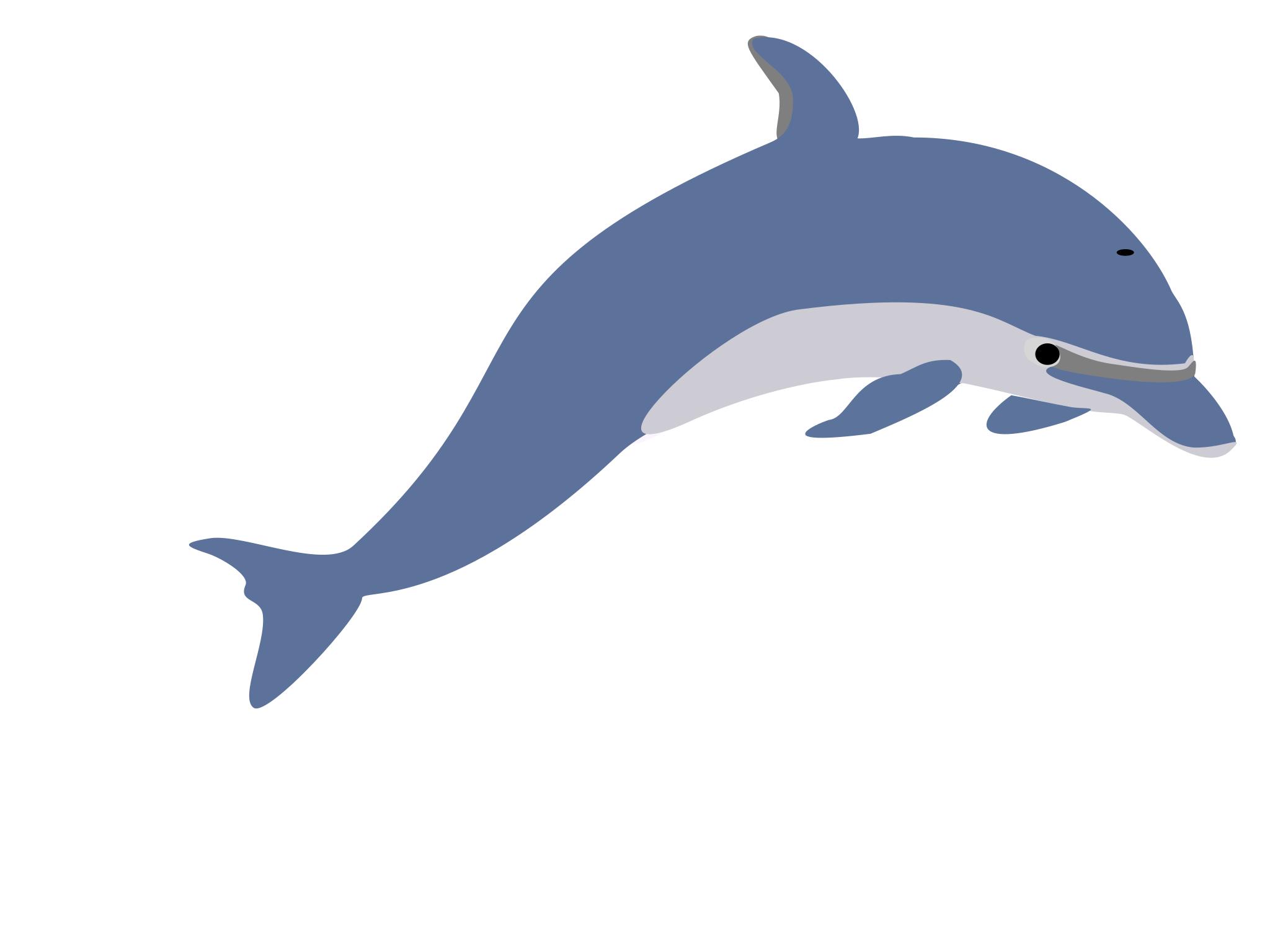 Дельфин картинка для детей на прозрачном фоне