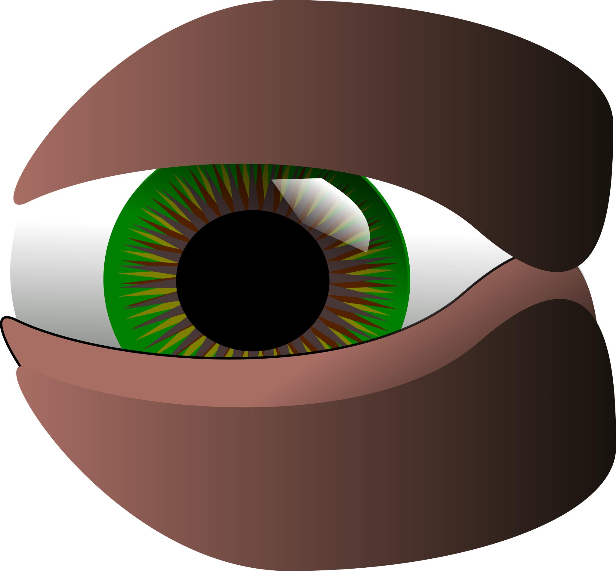 Глаз Illustrator