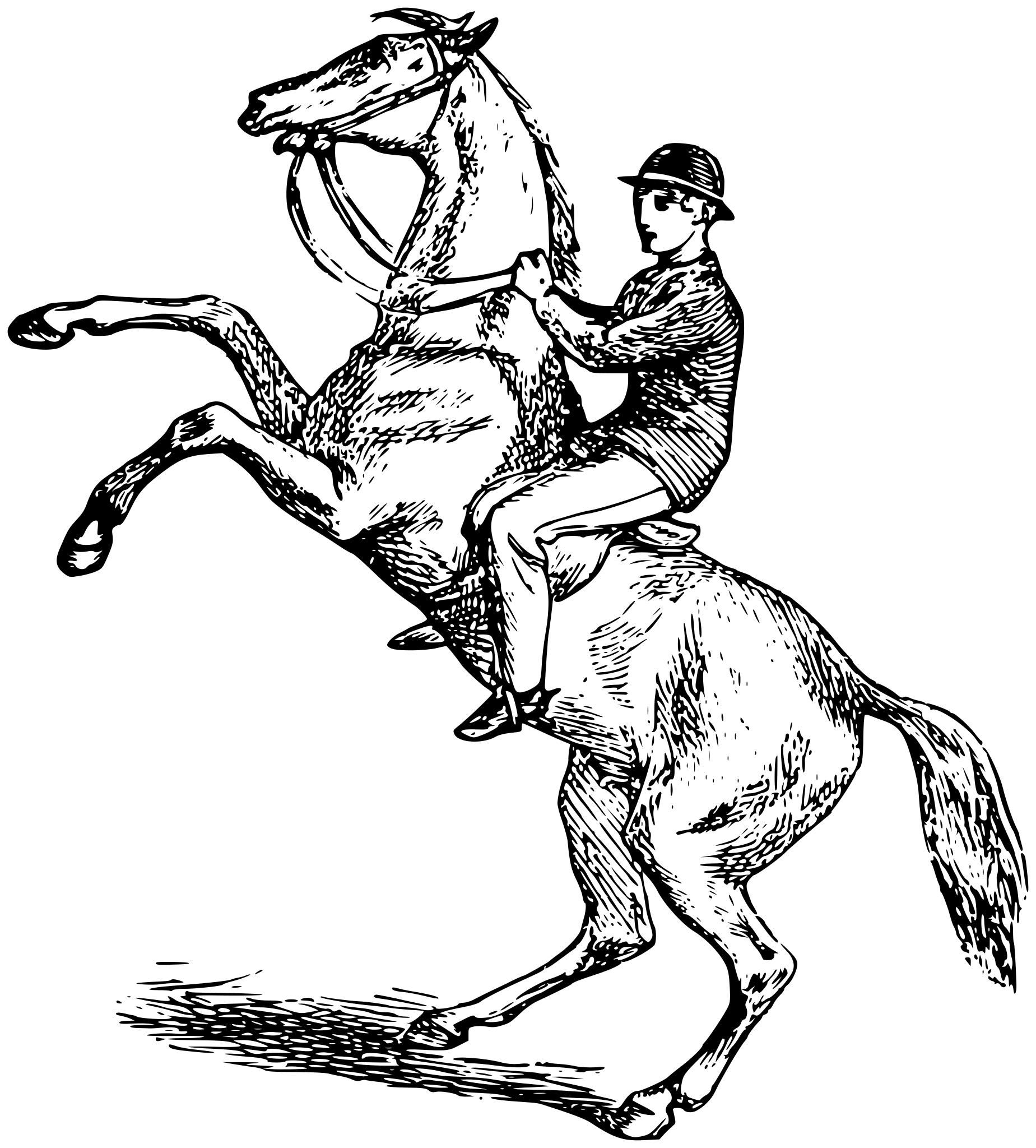 Всадник на коне рисовать