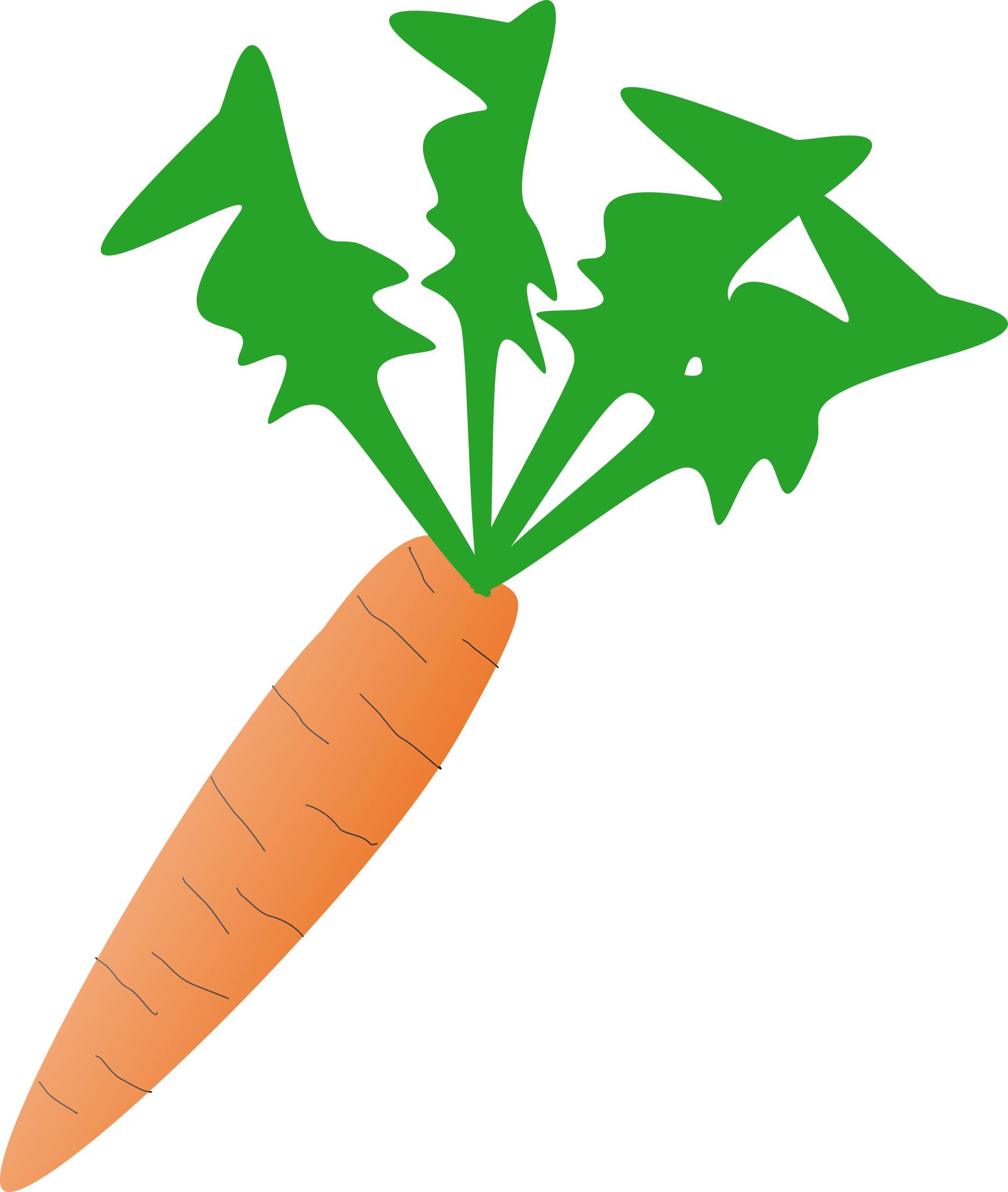 Морковь svg