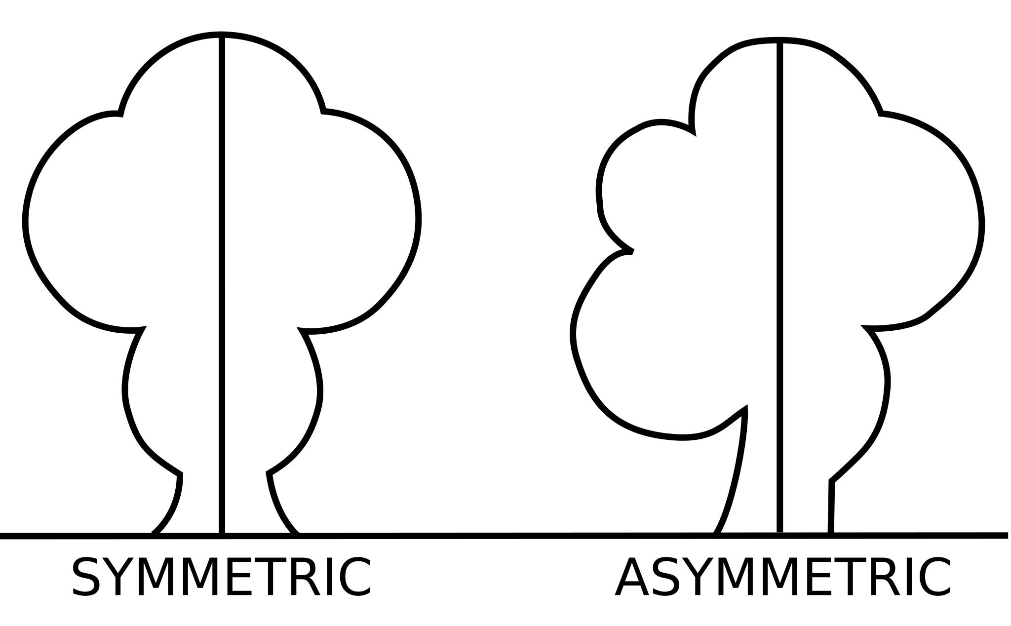 Симметричный и асимметричный рисунок