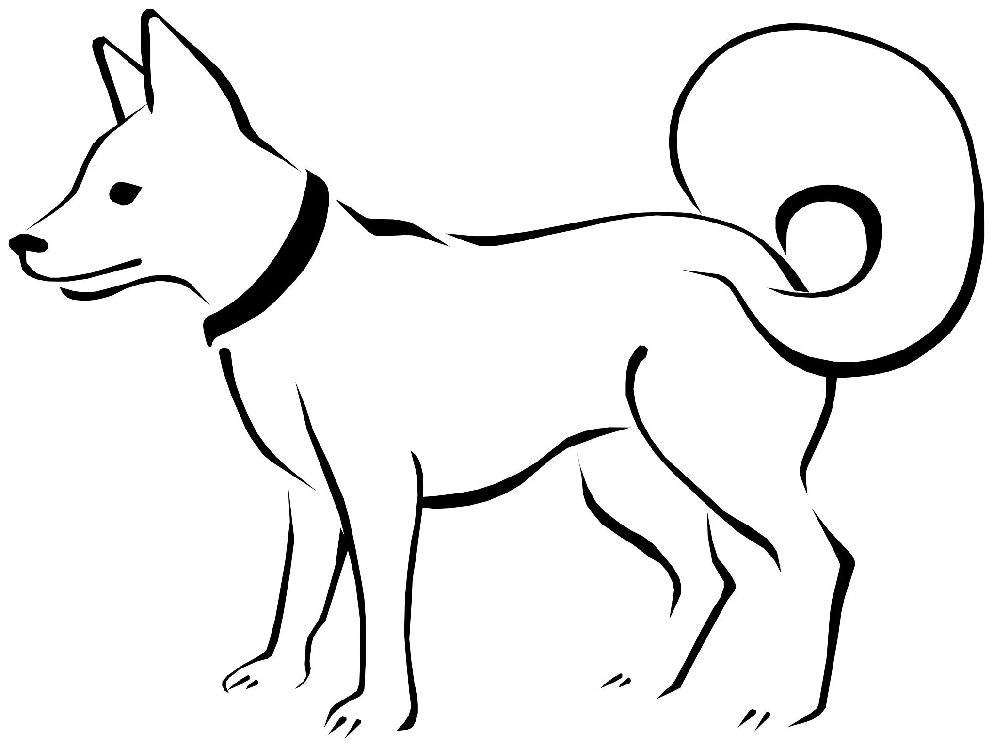 Схематичное изображение собаки