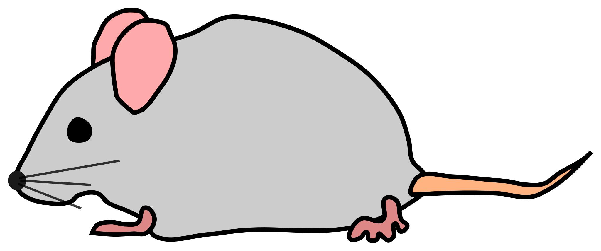 Мышка рисунок детский легкий