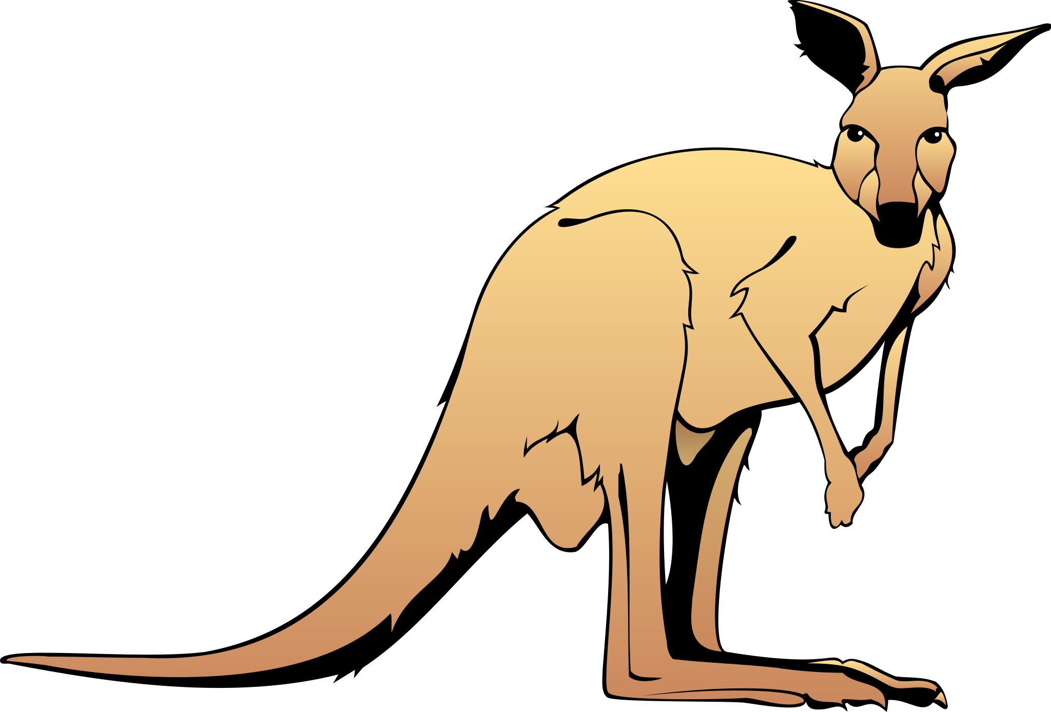 Long Tail кенгуру