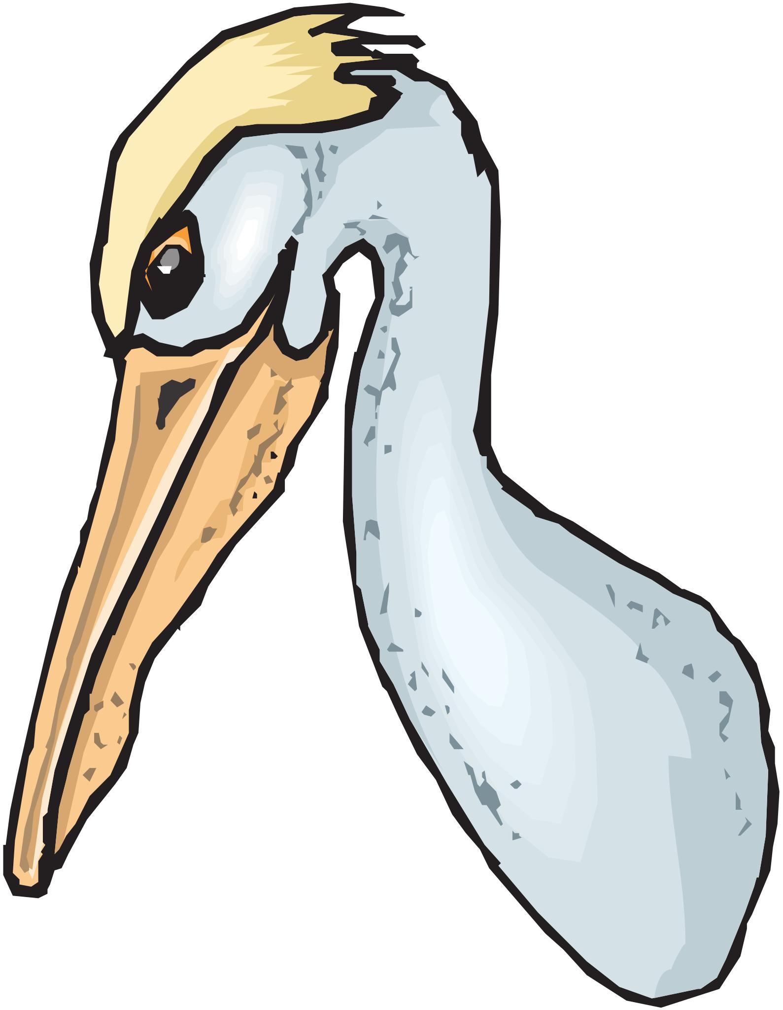 Пеликан мультяшный