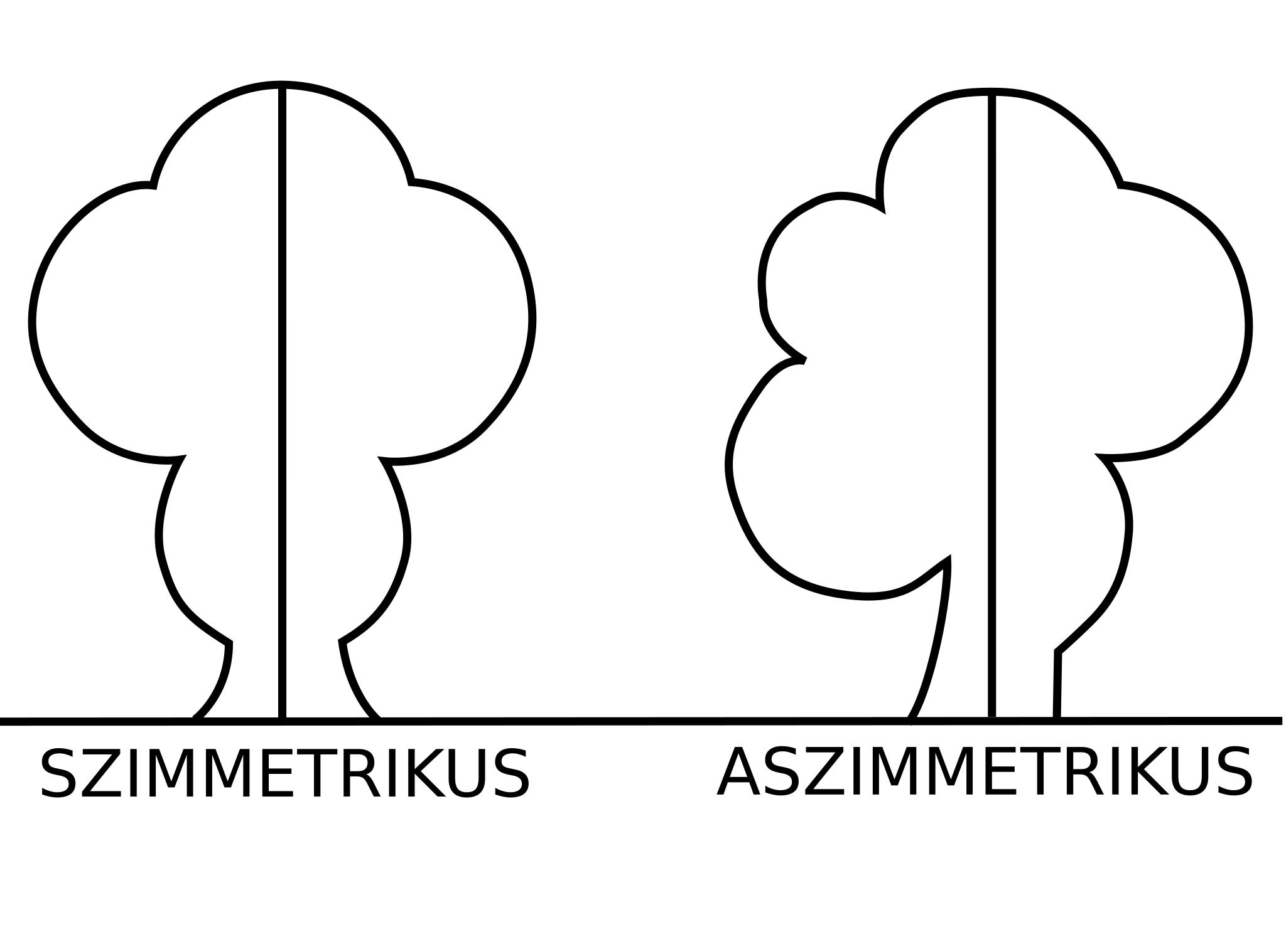 Симметричные и асимметричные фигуры