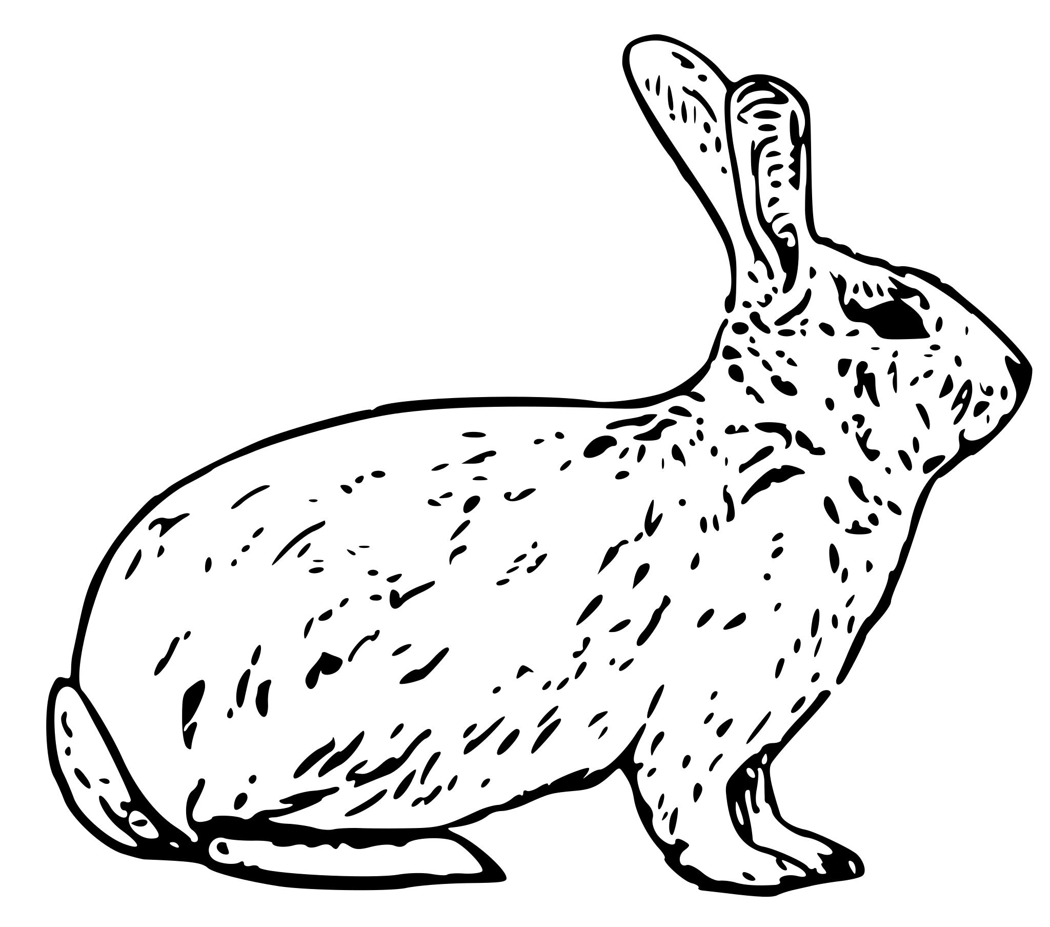Кролик контурный рисунок