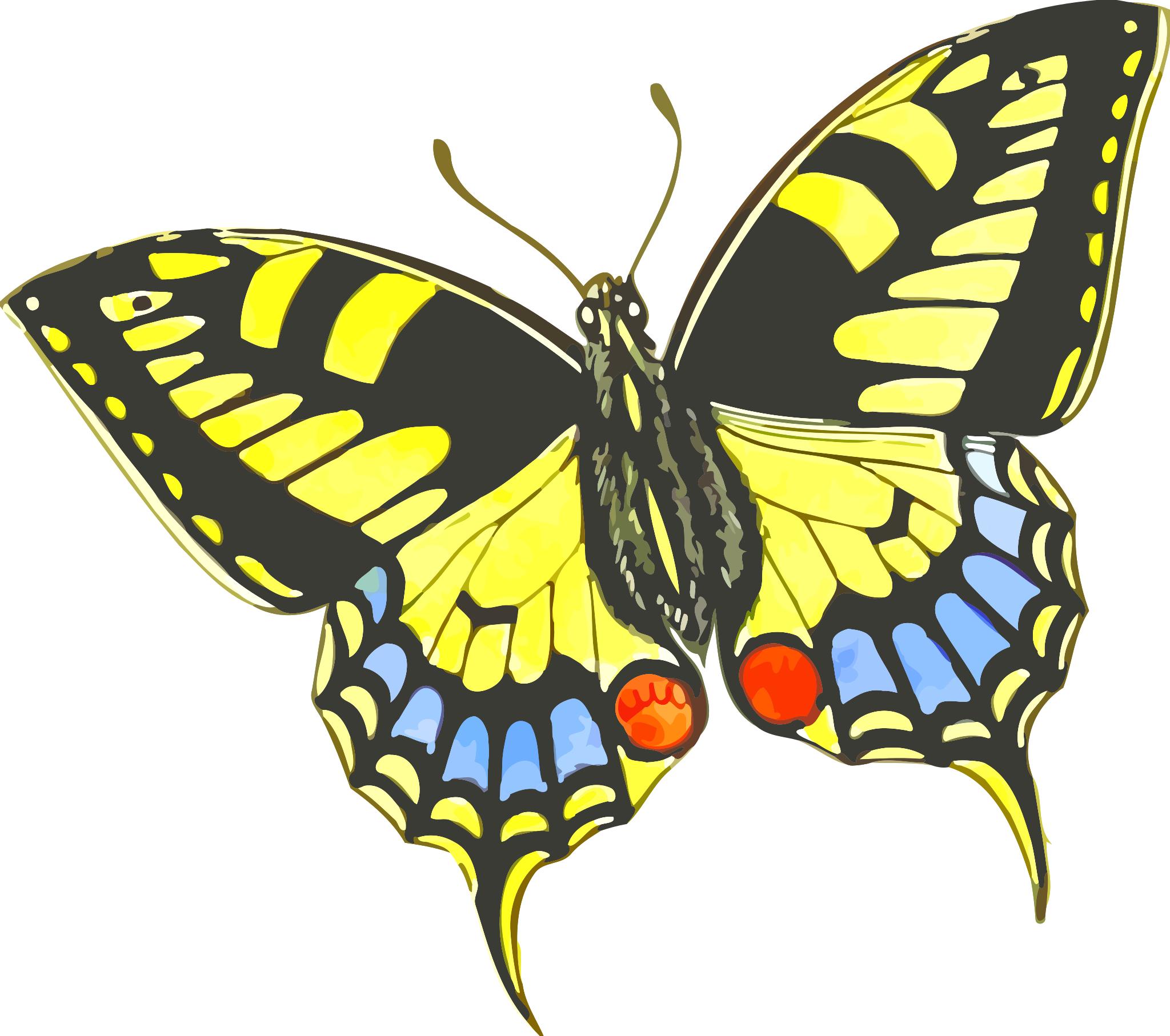 Иллюстрации для детей бабочка Махаон