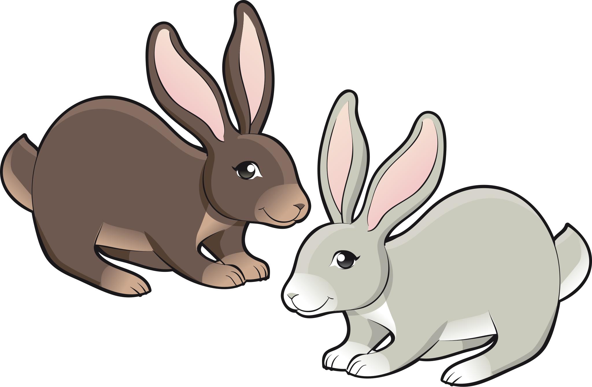 Free Images - rabbits cute svg