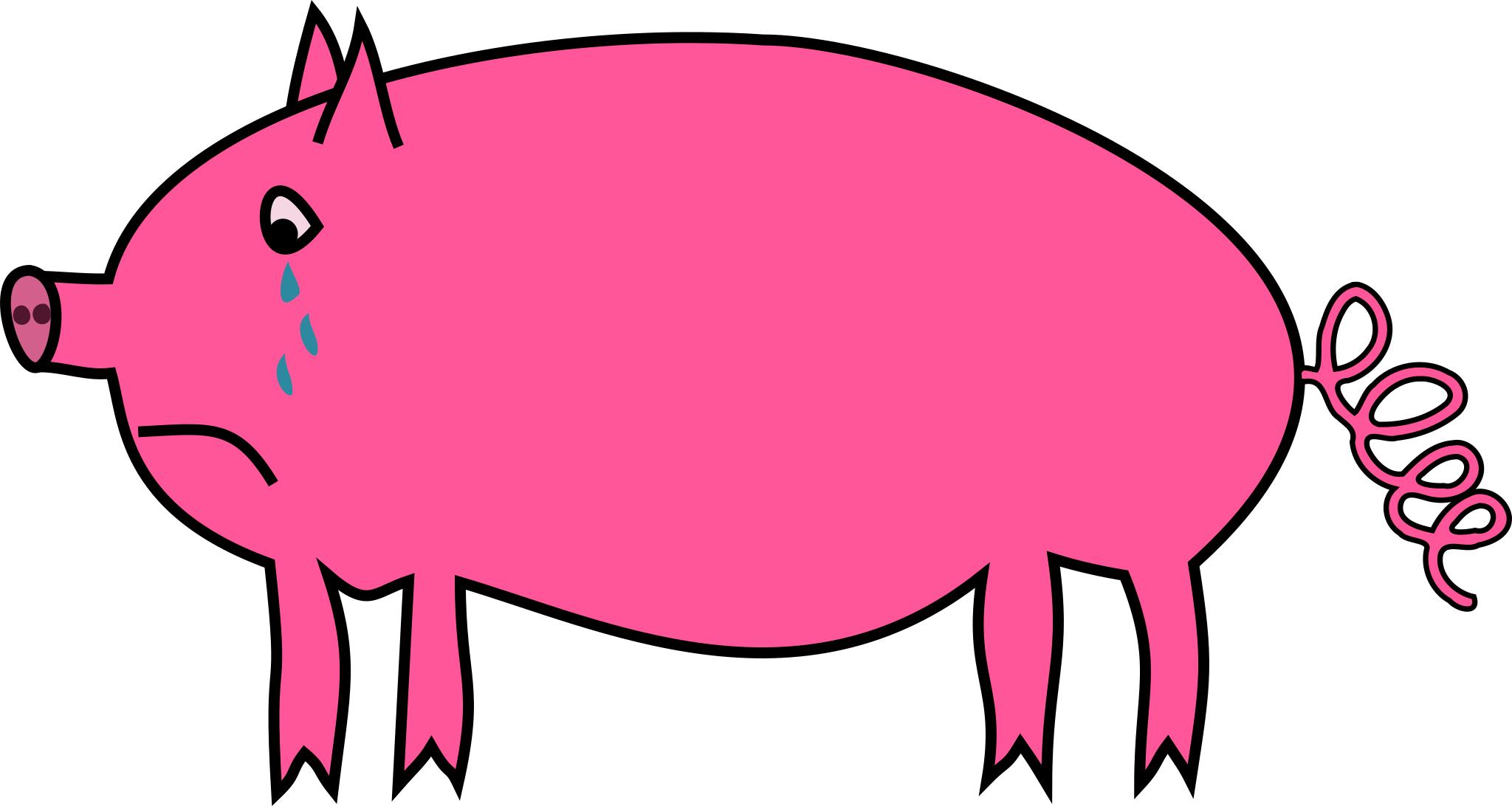 Грустная свинья