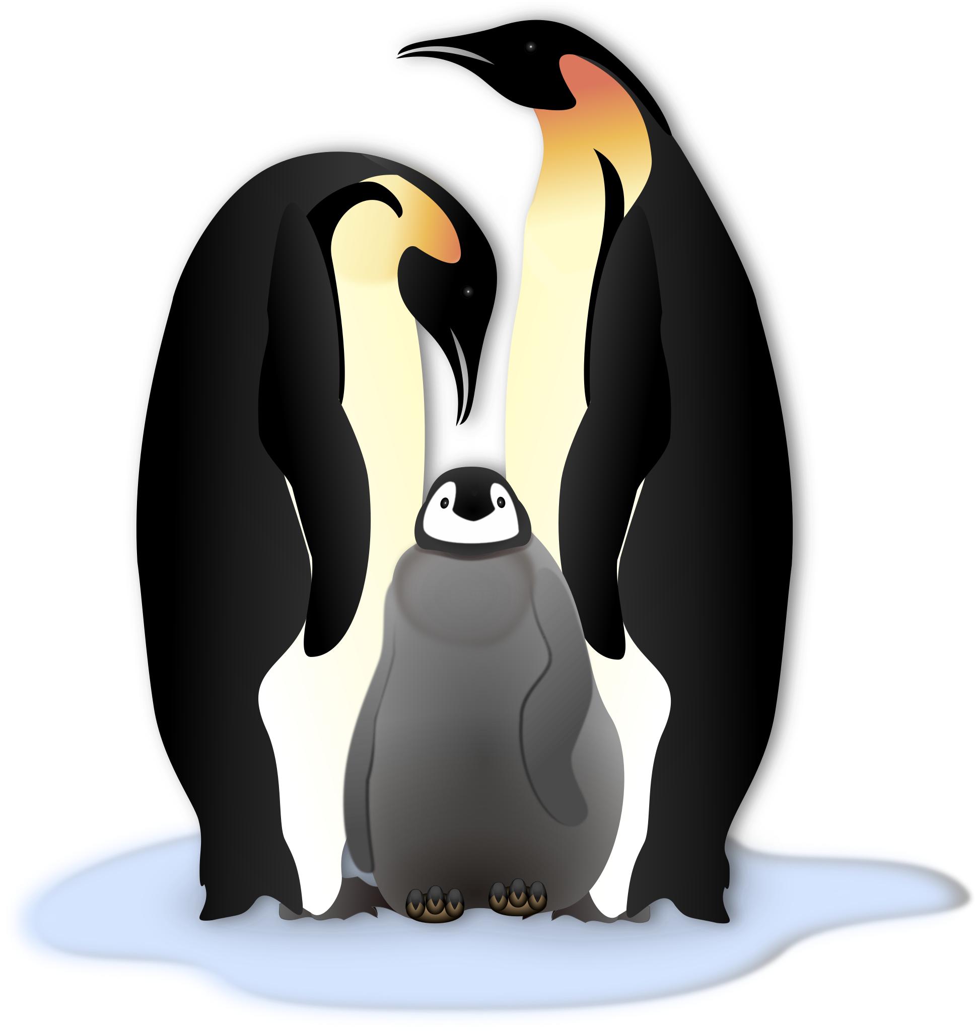 Пингвин векторный рисунок