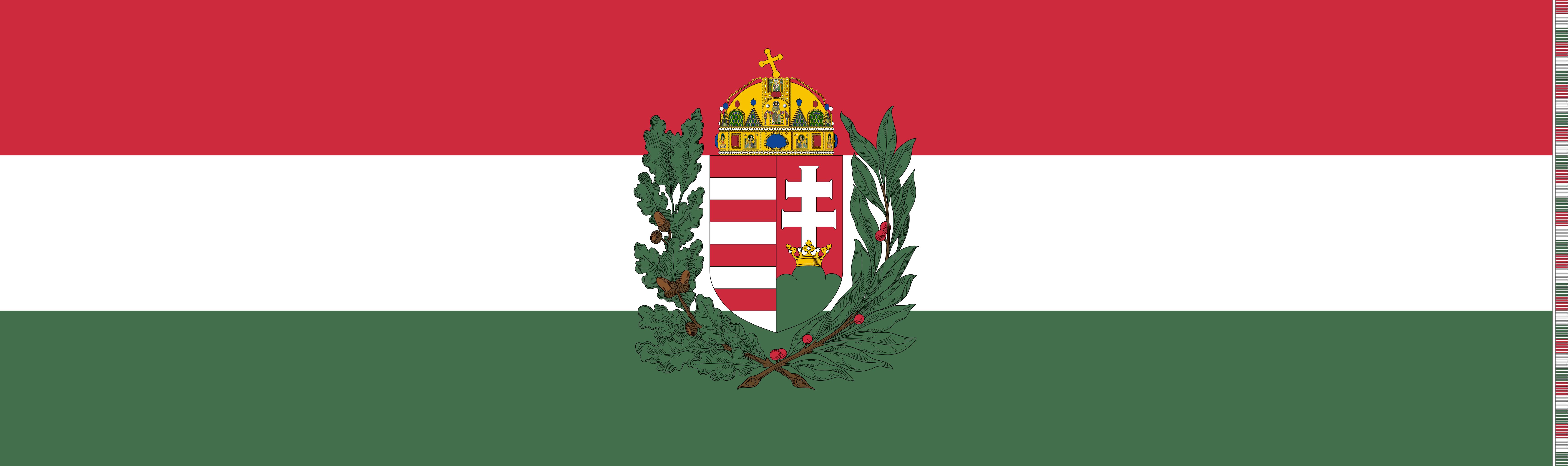 венгерский флаг с гербом картинки большой