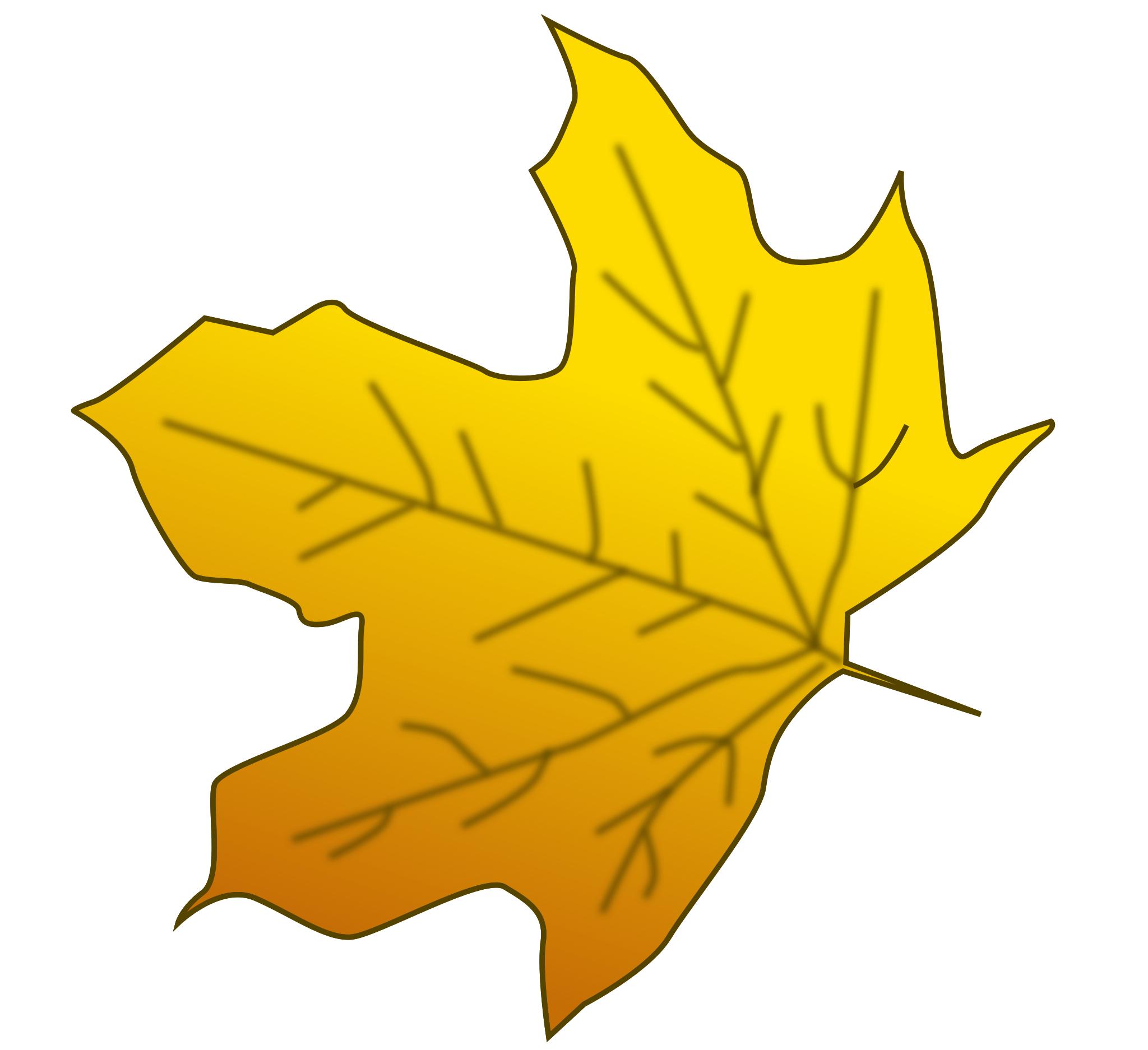 Кленовый лист желтый