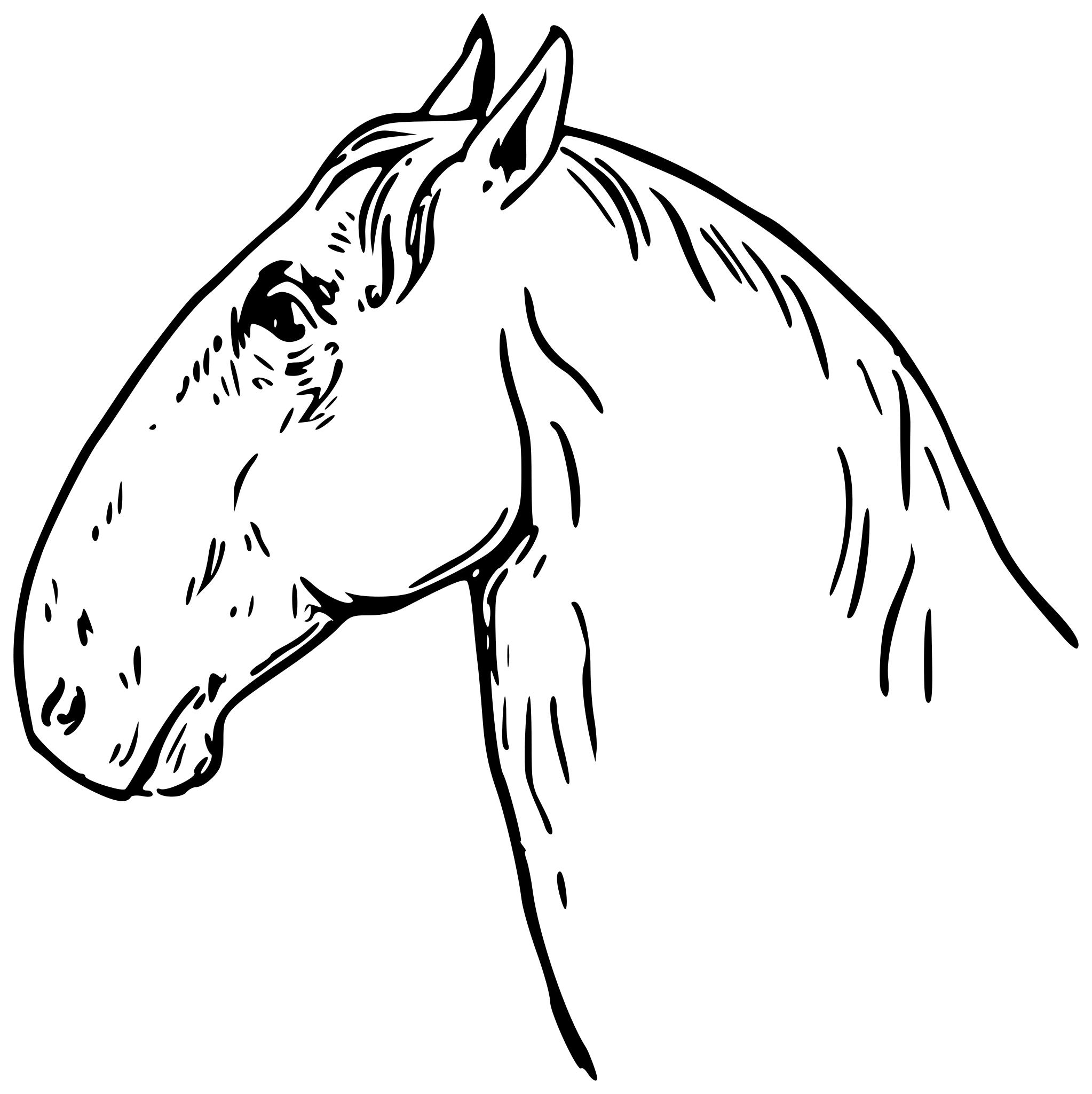 Голова лошади раскраска