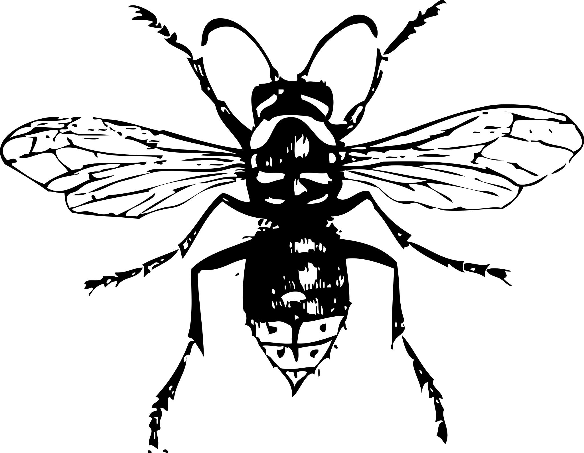 Пчела черно белая