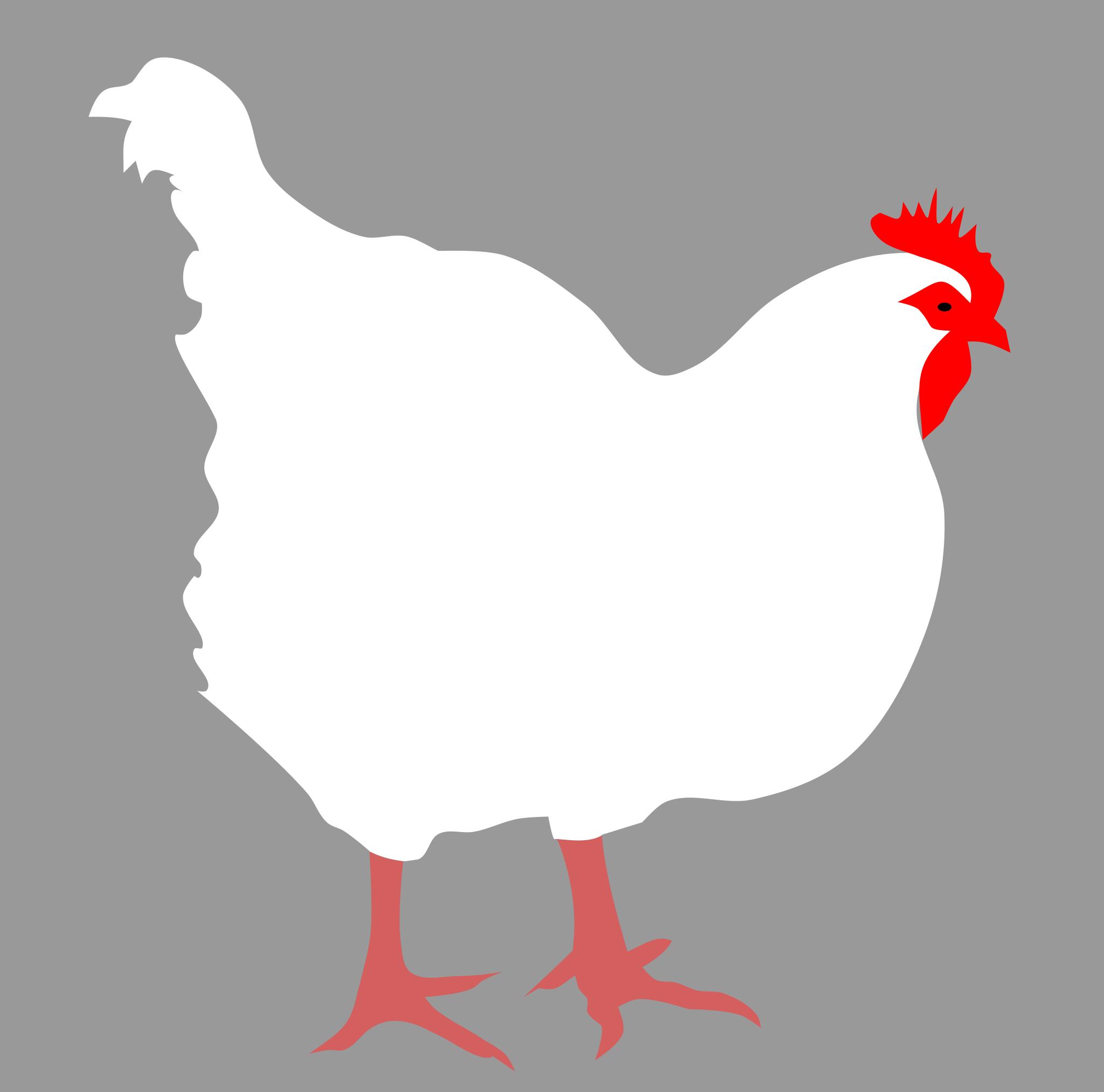 Курица векторное изображение