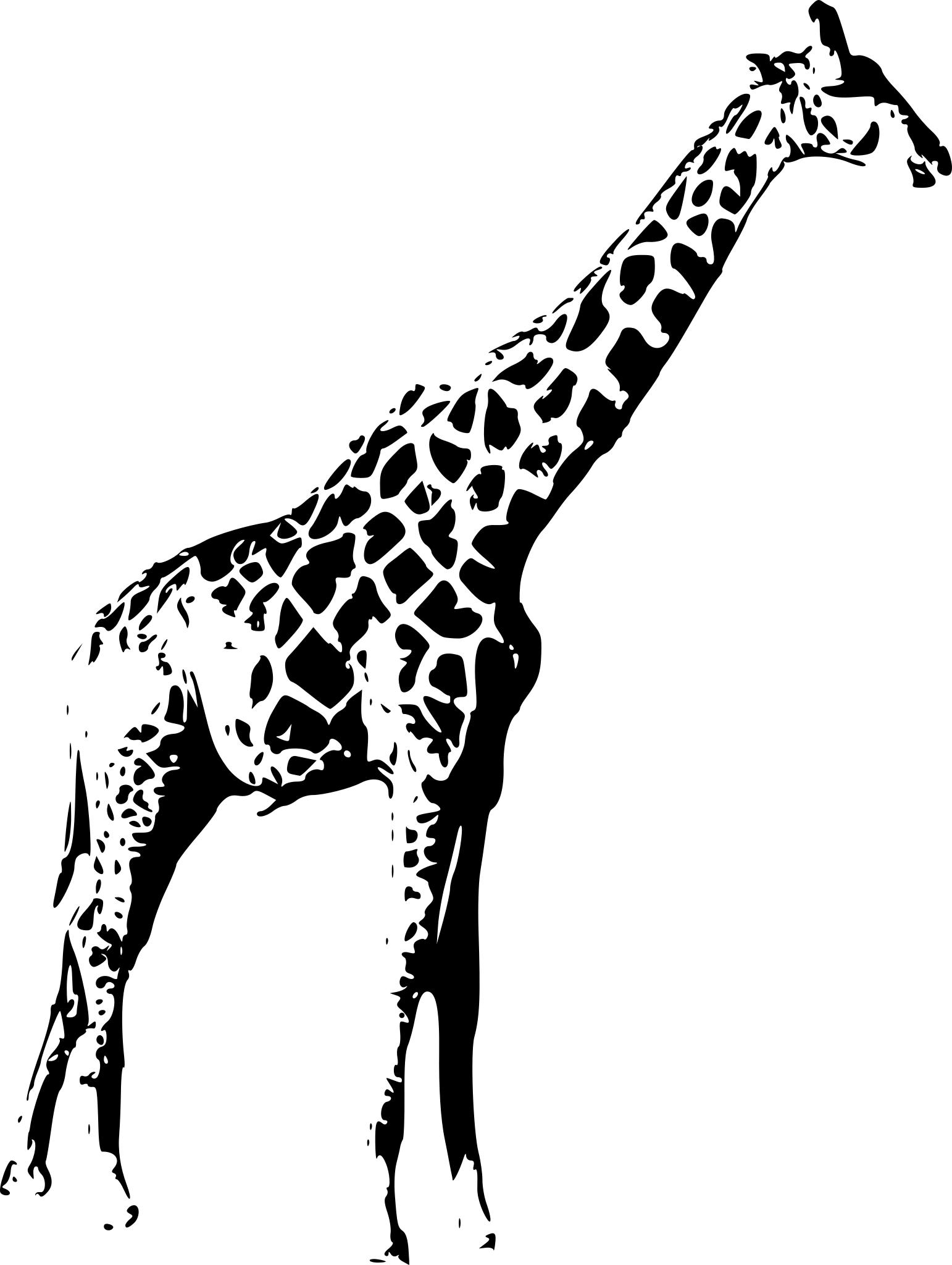 Очертания жирафа