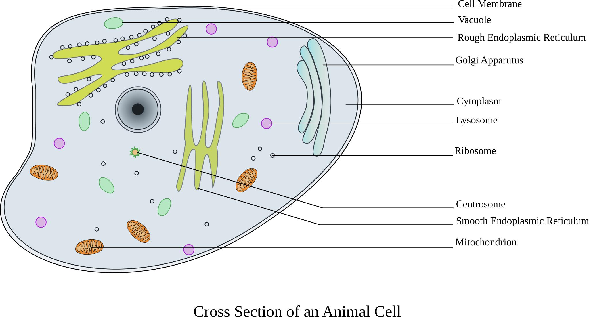 Строение животной клетки на прозрачном фоне