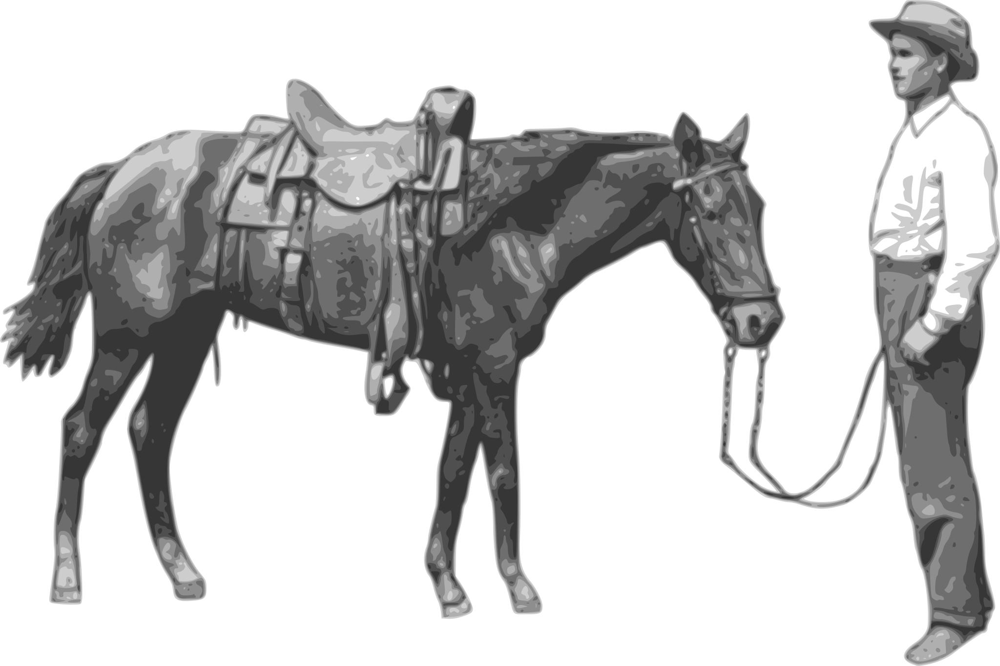 Конь с седлом рисунок