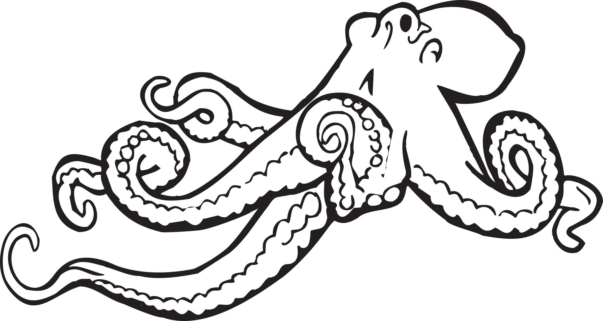 Octopus раскраска