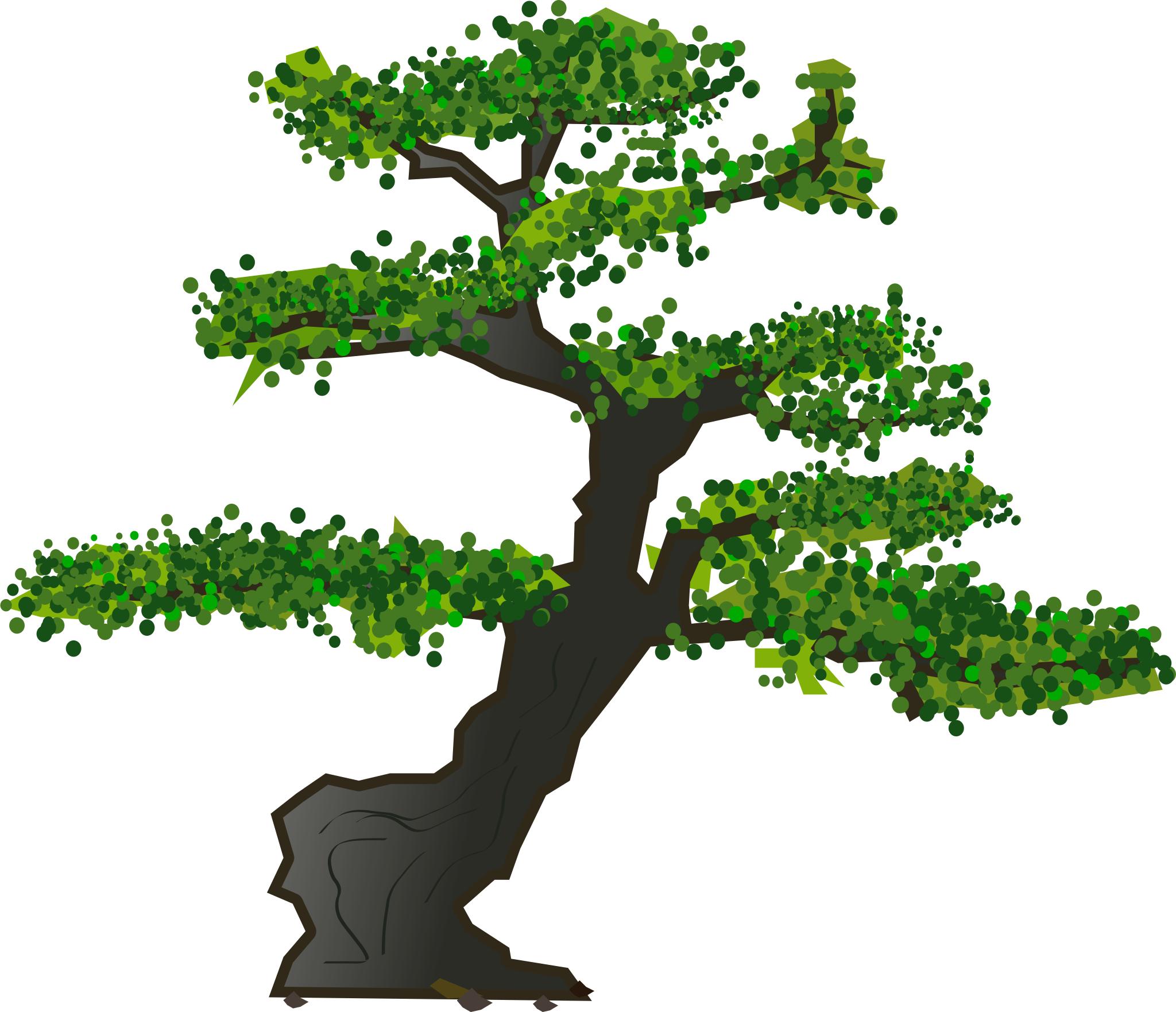 Дерево бонсаи высокое вектор