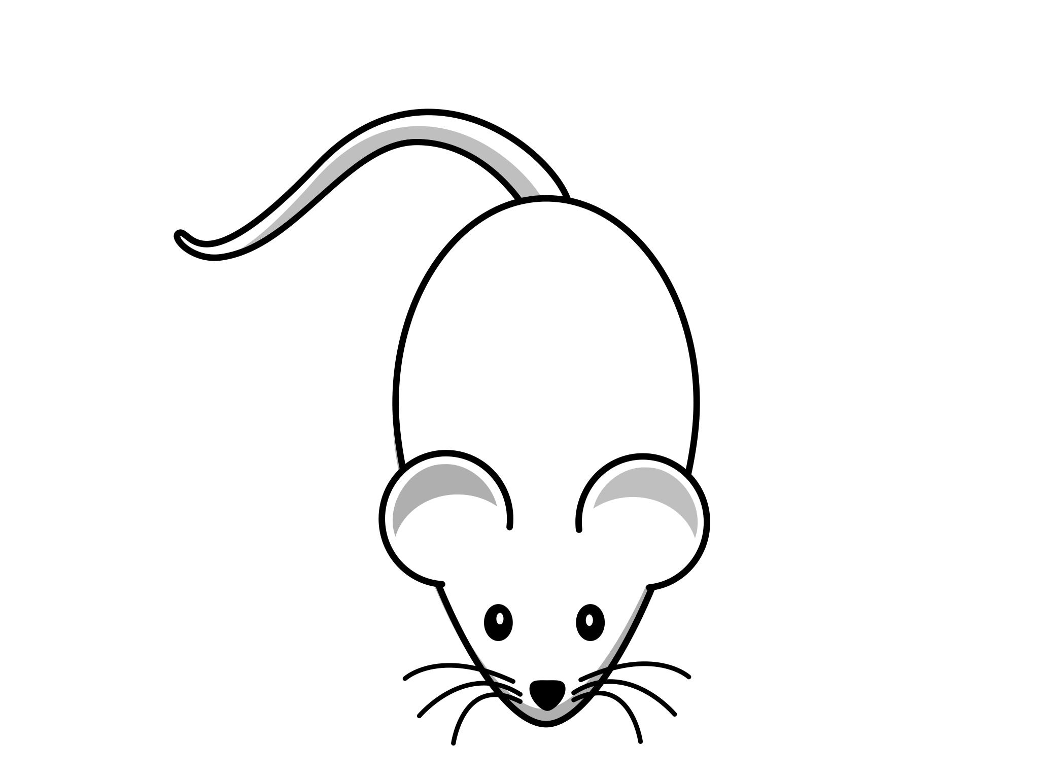 Мышка рисунок