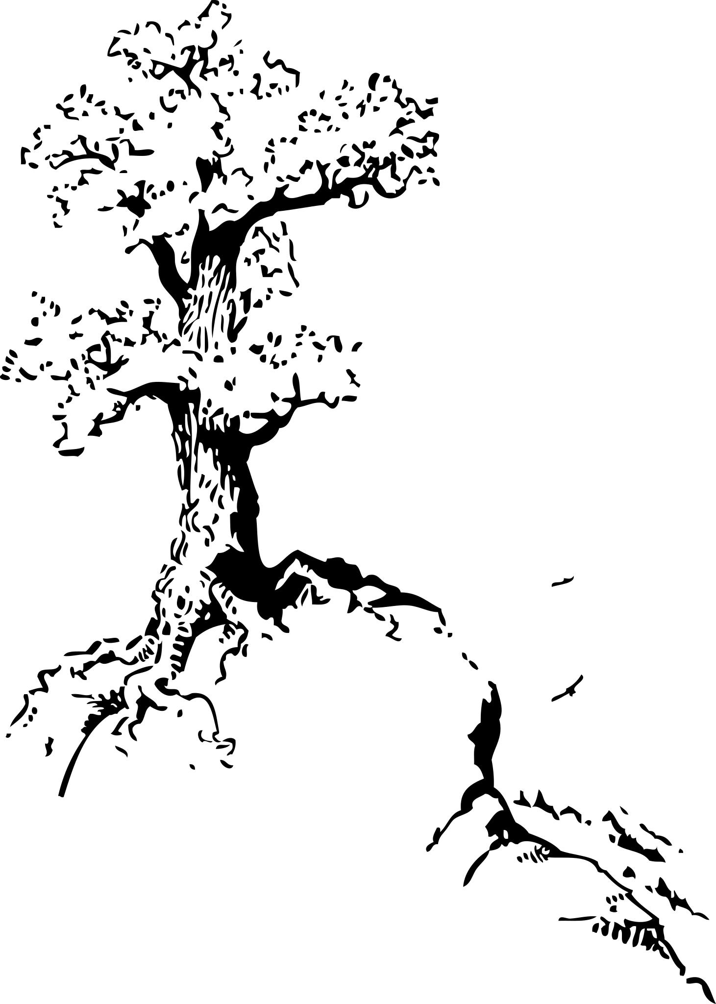Зарисовки деревьев черно белым