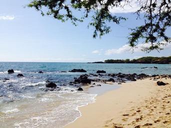 hawaii-beach-vacation-travel-879115.jpg
