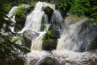 waterfalls-forest-nature-waterfall-1437884.jpg