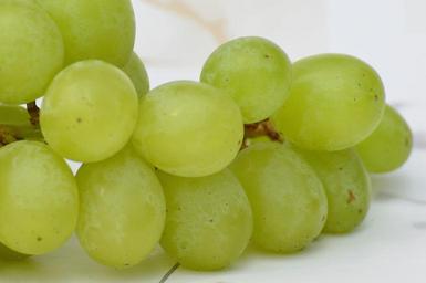 grapes-fruits-healthy-fruit-food-1281908.jpg