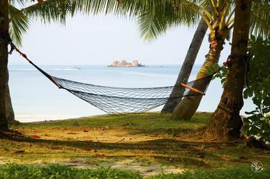 hammock-beach-sea-vacation-ocean-457311.jpg