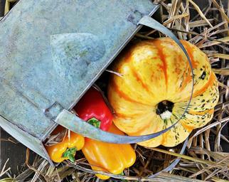 thanksgiving-pumpkin-paprika-autumn-1632832.jpg