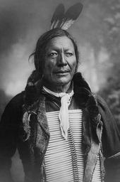 native-american-man-person-chief-391108.jpg