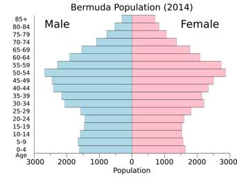 Free Images - bermuda population pyramid svg