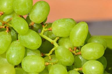grapes-fruits-healthy-fruit-food-1281426.jpg