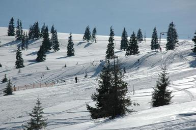 skiing-mountain-snow-winter-nature-515907.jpg