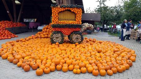 pumpkin-thanksgiving-harvest-autumn-1000898.jpg